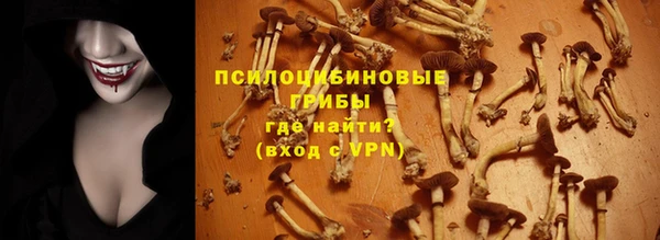 ПСИЛОЦИБИНОВЫЕ ГРИБЫ Зерноград